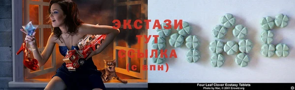 мдпв Бердск