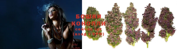 стафф Долгопрудный
