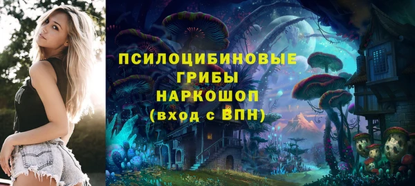 прущий лед Липки