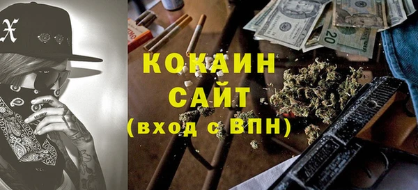 мдпв Бердск