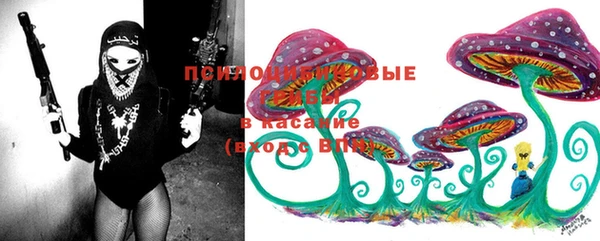 стафф Долгопрудный