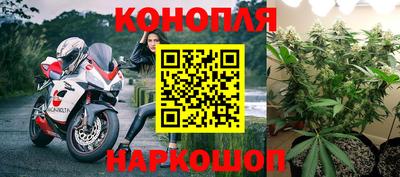 spice Волгодонск