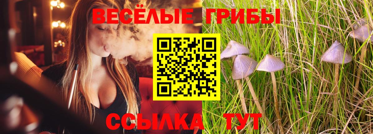 Псилоцибиновые грибы прущие грибы Гагарин