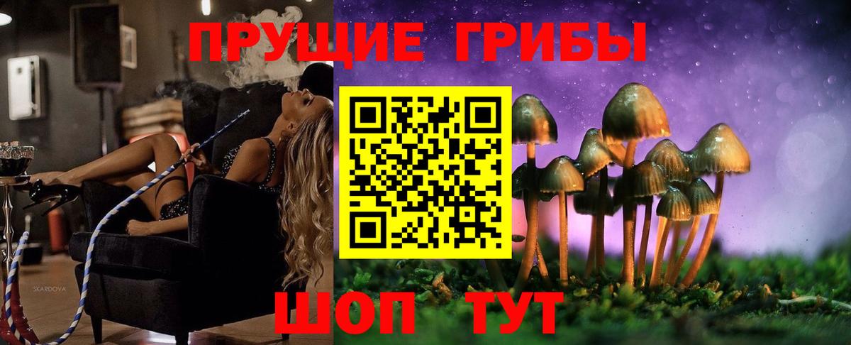 Псилоцибиновые грибы GOLDEN TEACHER  Галлюциногенные грибы Psilocybe  Гагарин 