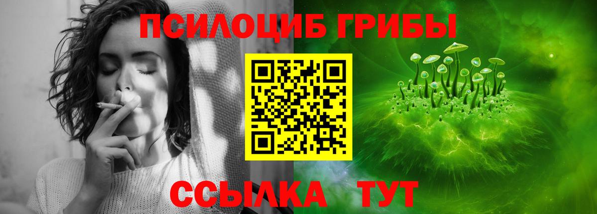 Галлюциногенные грибы мицелий  Вход с VPN  Гагарин  Галлюциногенные грибы Psilocybe 